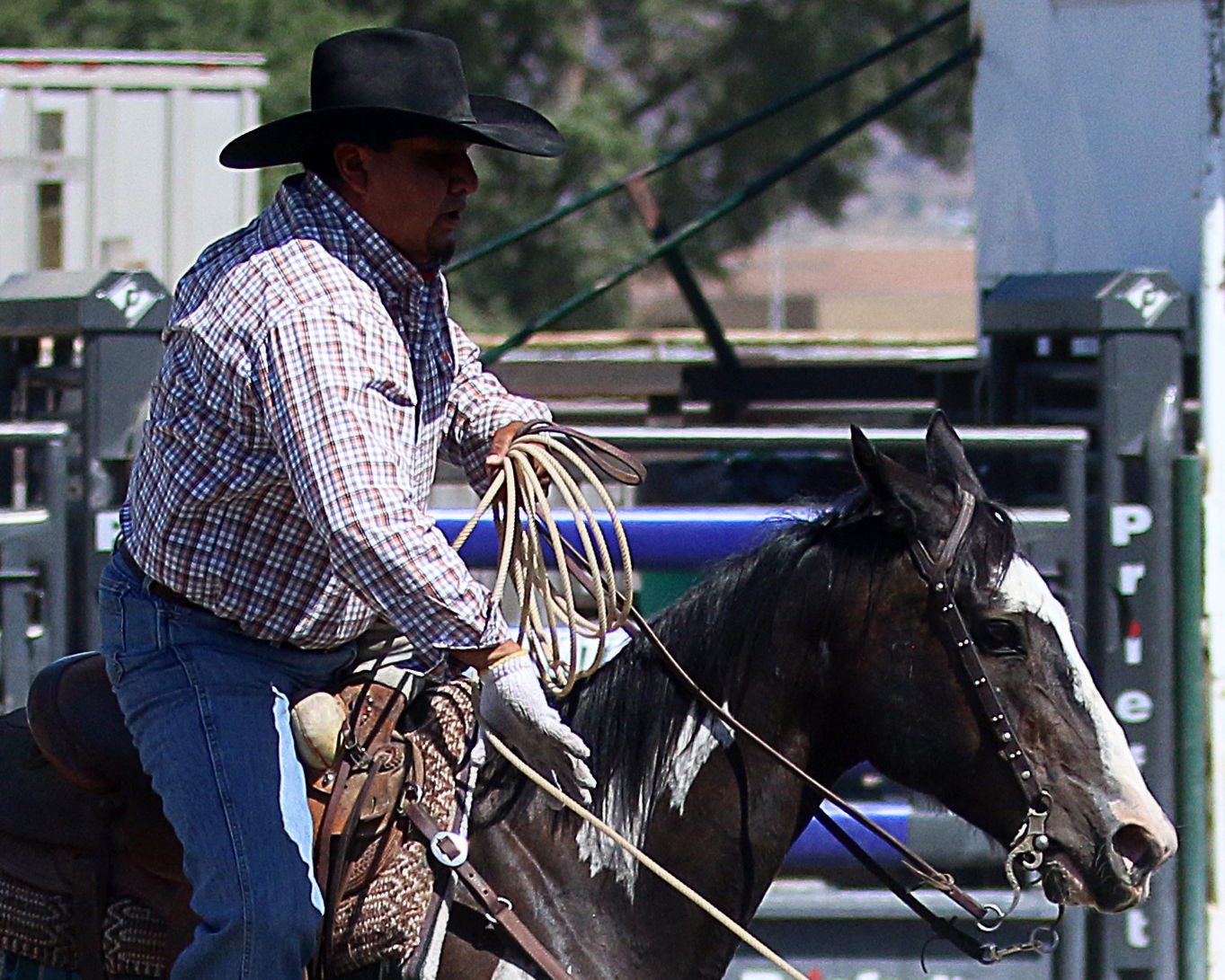2018 Elko County Fair Open Branding Finals (8).JPG